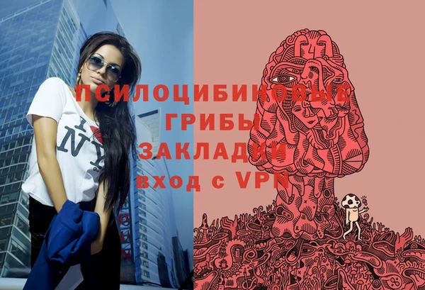круглые Бородино