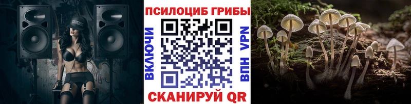 blacksprut tor Гулькевичи Галлюциногенные грибы Psilocybine cubensis купить наркотик
